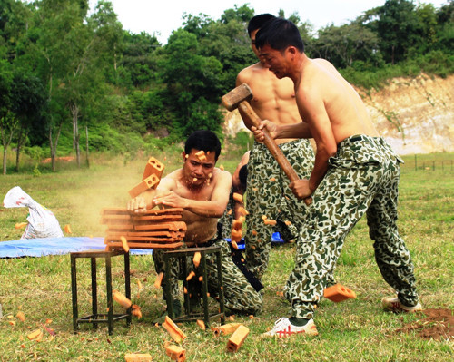 Tay cứng hơn gạch