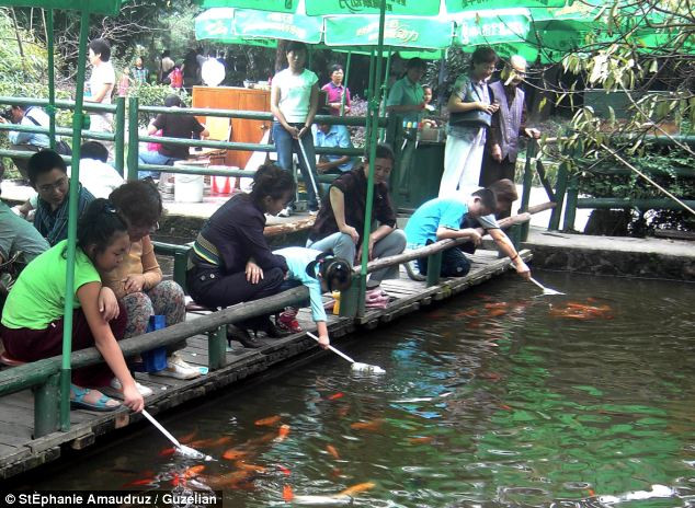 Bình sữa trẻ em có thức ăn cho cá được buộc vào một đầu gậy để thả xuống nước