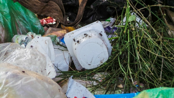 Bãi rác ngập dưới chân cầu Thăng Long ảnh 3