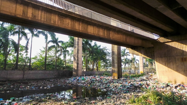 Bãi rác ngập dưới chân cầu Thăng Long ảnh 1