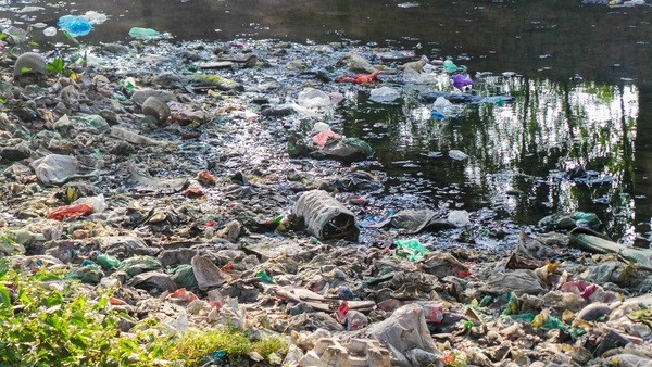 Bãi rác ngập dưới chân cầu Thăng Long ảnh 5