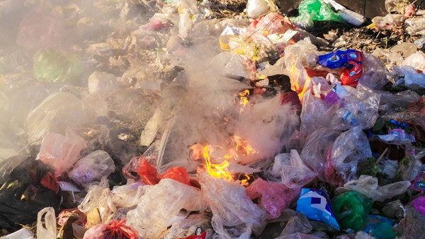 Bãi rác ngập dưới chân cầu Thăng Long ảnh 10