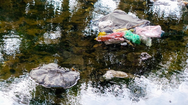 Bãi rác ngập dưới chân cầu Thăng Long ảnh 4