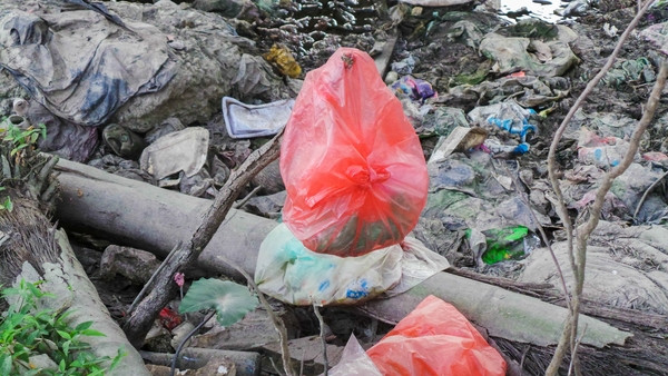 Bãi rác ngập dưới chân cầu Thăng Long ảnh 6