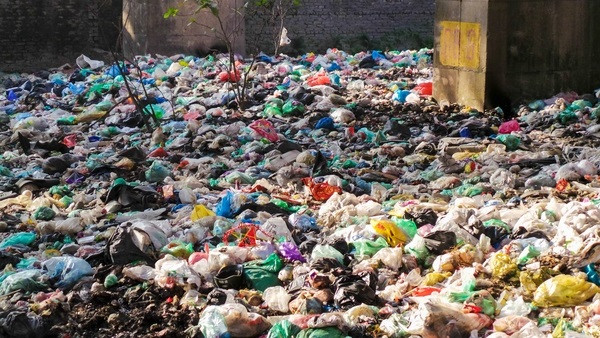 Bãi rác ngập dưới chân cầu Thăng Long ảnh 2