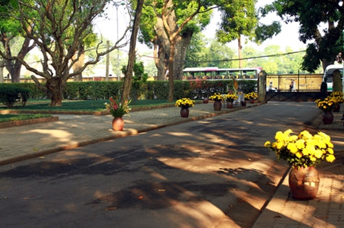 Đường vào nhà có nhiều bình hoa cúc. Người dân vẫn thường đến gửi hoa tưởng nhớ Đại tướng
