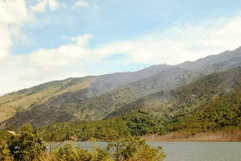 Vụ cháy đã được khống chế