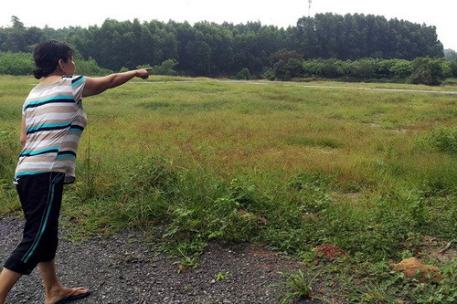 Loạn rao bán đất nền quanh sân bay Long Thành ảnh 3