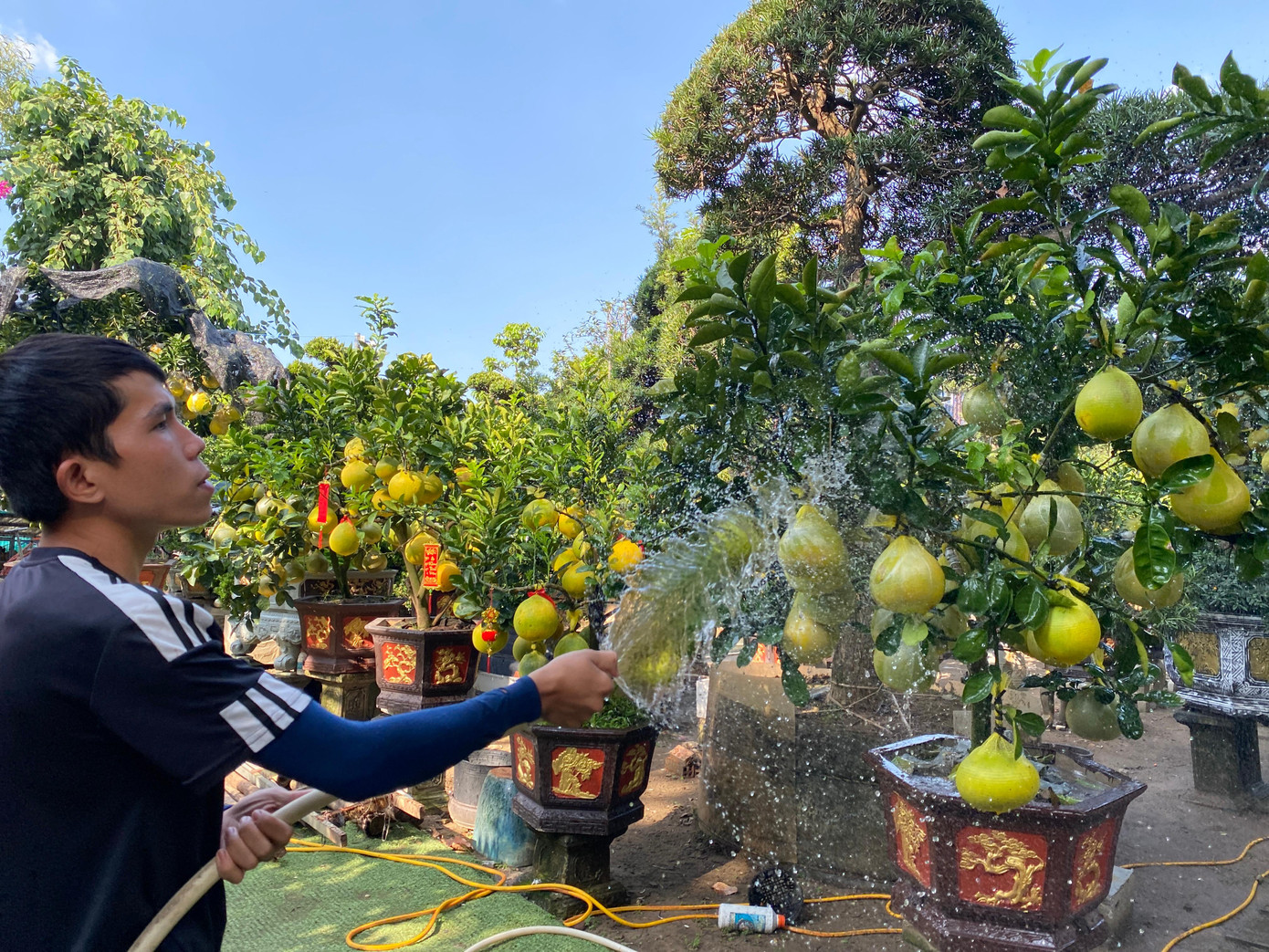 Các nhà vườn trên đường Mai Chí Thọ (TP Thủ Đức) đang trông chờ vào thị trường Tết năm nay sẽ bù đắp lại sức mua chậm của 2 năm trước do ảnh hưởng tiêu cực bởi dịch bệnh COVID-19.