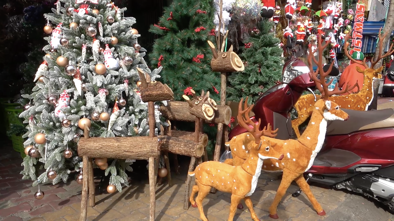 Các cửa hàng trưng bày mẫu mã đa dạng như cây thông, vòng nguyệt quế, tuần lộc, người tuyết để thu hút khách hàng.