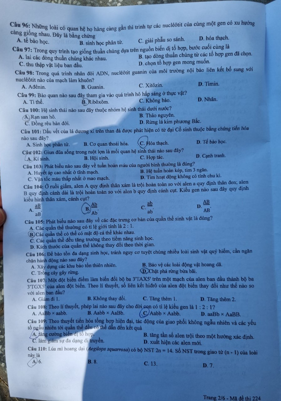 Thí sinh thi tổ hợp KHXH tươi cười, KHTN khó đạt điểm cao ảnh 44 Thí sinh thi tổ hợp KHXH tươi cười, KHTN khó đạt điểm cao ảnh 44