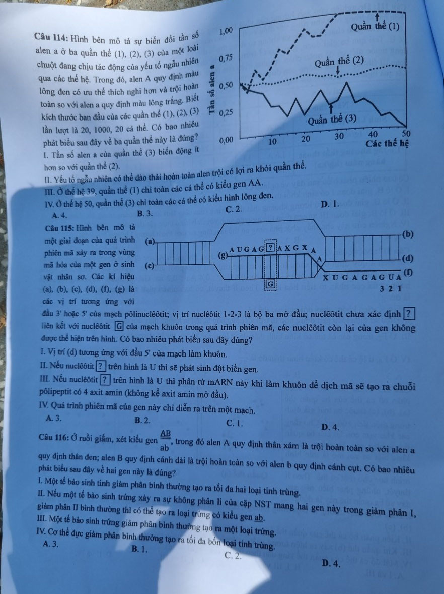 Thí sinh thi tổ hợp KHXH tươi cười, KHTN khó đạt điểm cao ảnh 46 Thí sinh thi tổ hợp KHXH tươi cười, KHTN khó đạt điểm cao ảnh 46