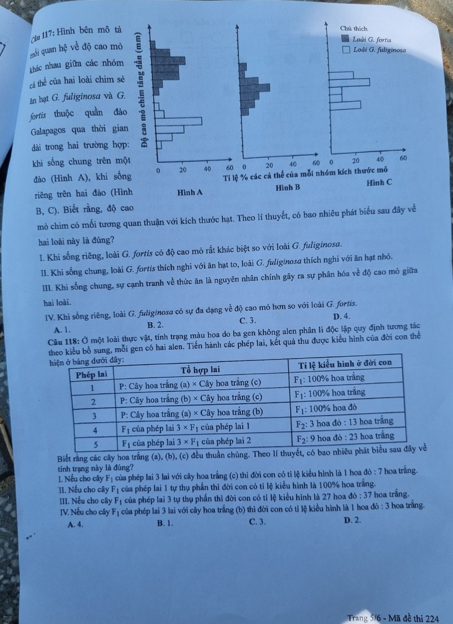 Thí sinh thi tổ hợp KHXH tươi cười, KHTN khó đạt điểm cao ảnh 47 Thí sinh thi tổ hợp KHXH tươi cười, KHTN khó đạt điểm cao ảnh 47