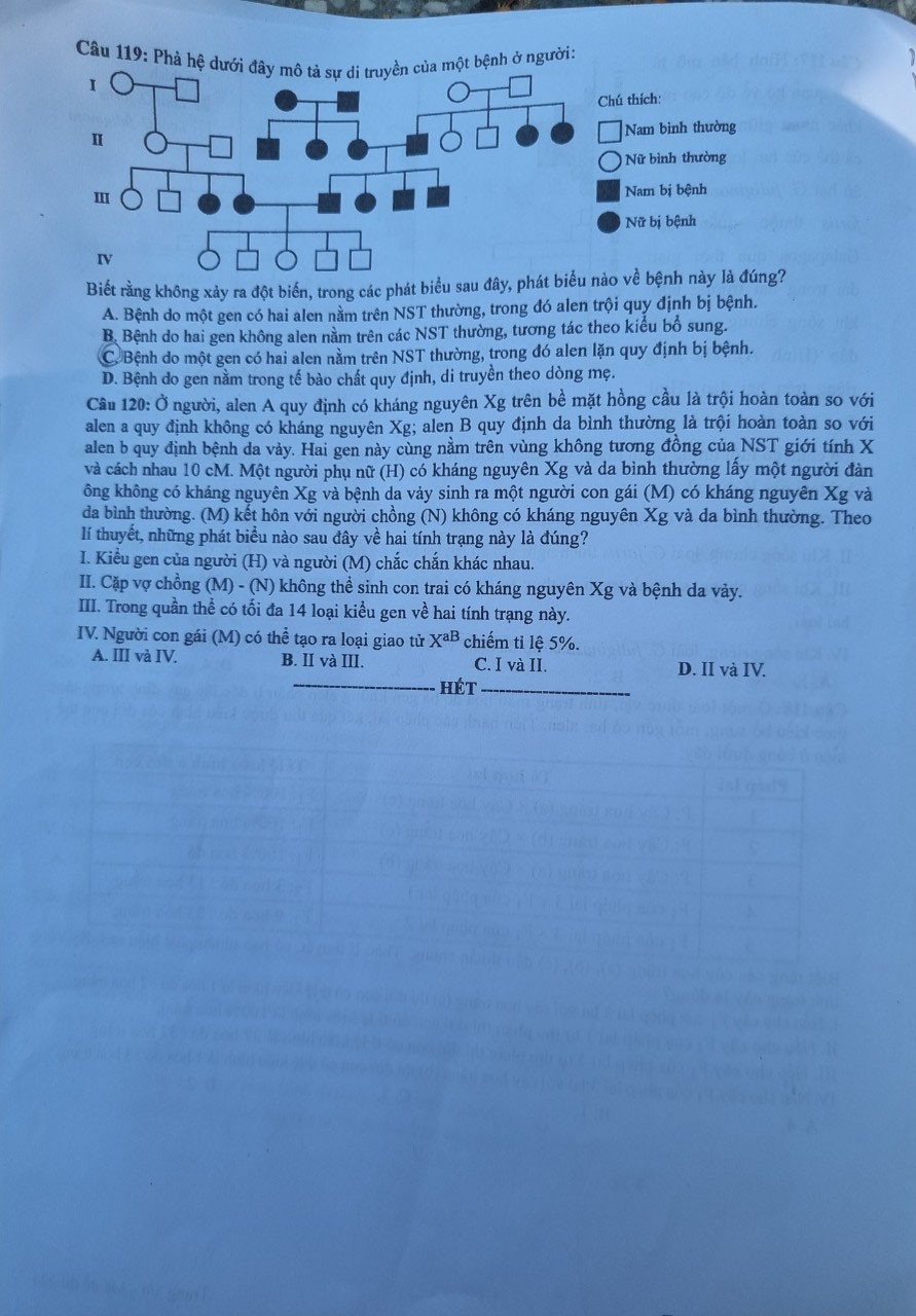 Ảnh: Thanh Trần Ảnh: Thanh Trần