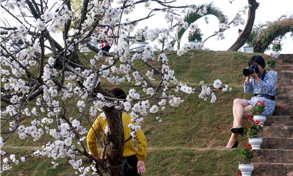 Thỏa thích sáng tác