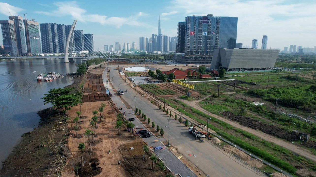 Hàng ngàn cây hoa hướng dương đã được trồng và sẽ đón khách vào dịp Tết Dương lịch 2024.