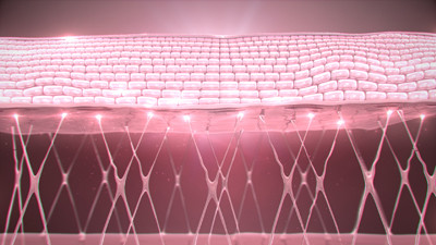 Cấu trúc nền - yếu tố quyết định vẻ đẹp làn da phụ nữ ảnh 2