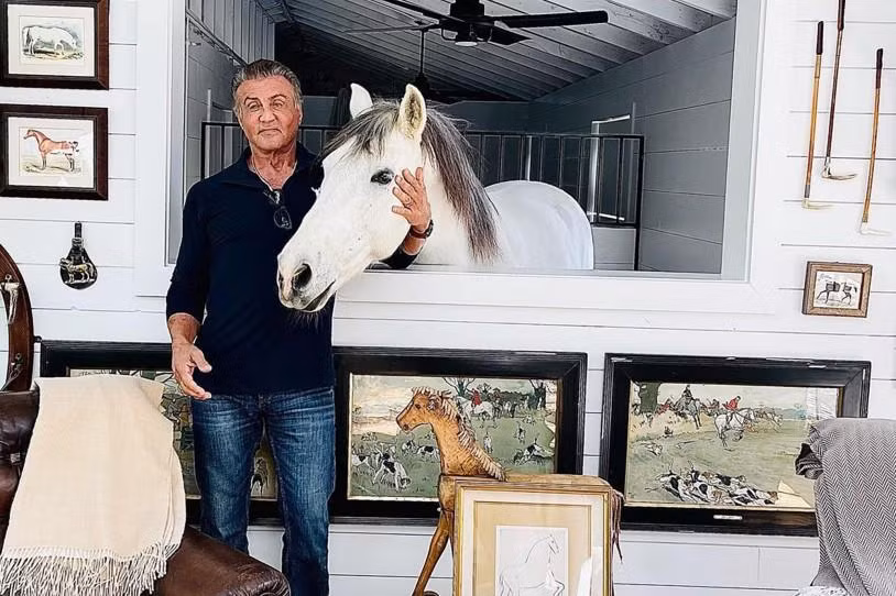 Tài tử gạo cội Sylvester Stallone đam mê cưỡi ngựa đến mức "mời" con ngựa của mình đi ăn sáng.