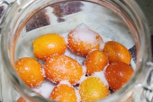 Một số bài thuốc, món ngon từ trái quất ảnh 1