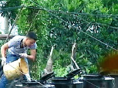 Các đối tượng đang 