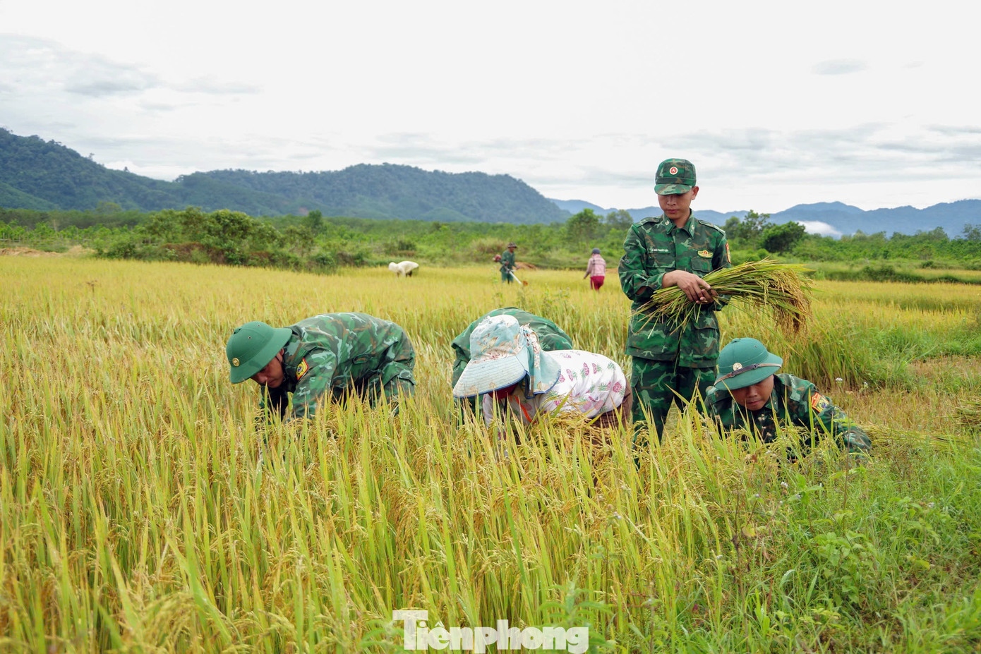Cùng với đó, thời tiết biên giới diễn ra thất thường, thường xảy ra mưa giông kéo dài gây ngập úng ruộng đồng.