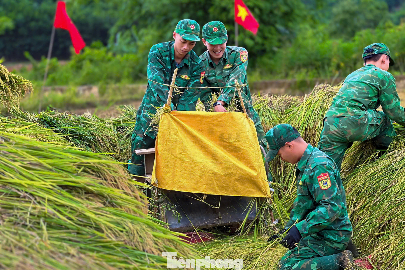 Vào vụ thu hoạch, khắp cánh đồng biên giới lại rộn ràng tiếng nói cười vui vẻ của tình quân dân. Những hạt lúa vàng là kết tinh của những công sức của người dân và những giọt mồ hôi của tình đoàn kết, gắn bó giữa những người lính với người dân nơi phên dậu của Tổ quốc.