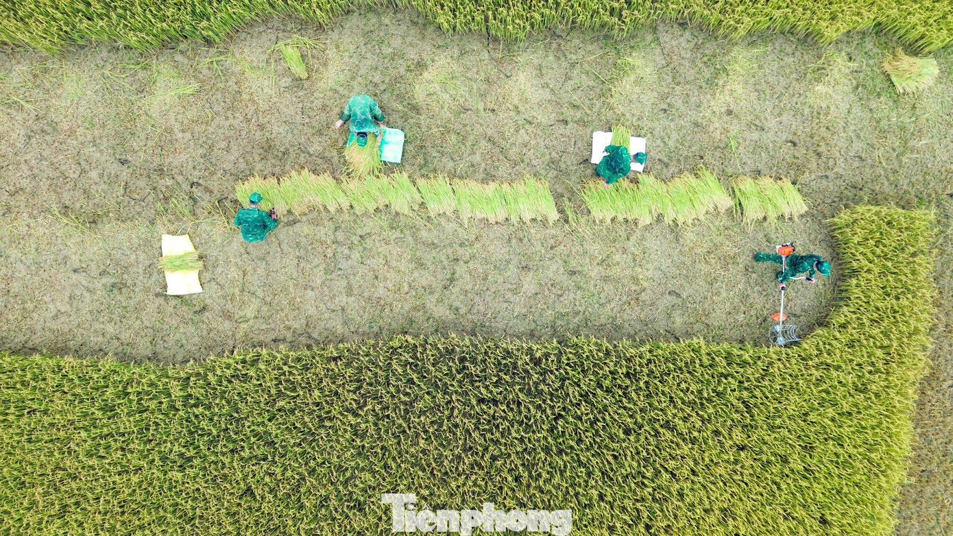 Cùng với đó, thời tiết biên giới diễn ra thất thường, thường xảy ra mưa giông kéo dài gây ngập úng ruộng đồng.