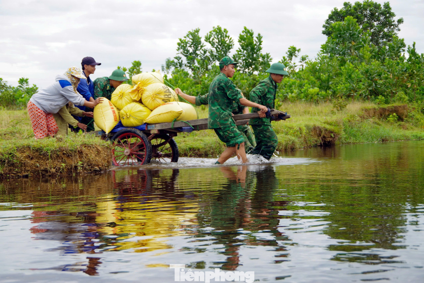 Không khí hối hả của quân và dân khi vận chuyển những hạt lúa vàng.