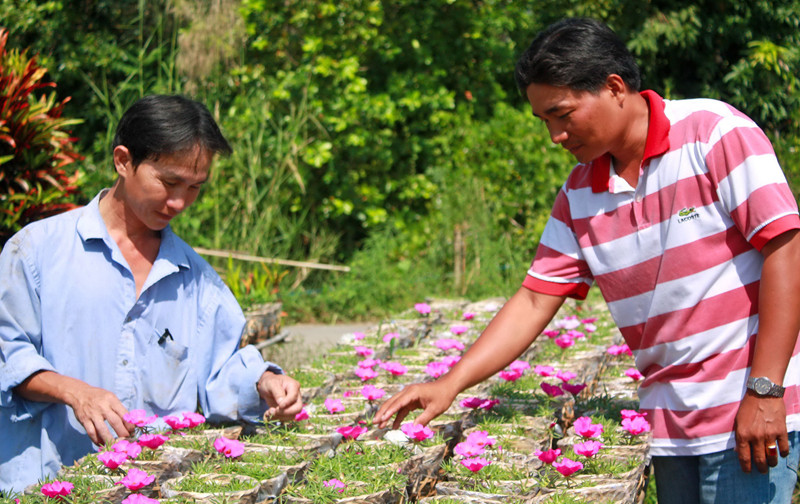 Một góc vườn hoa thanh niên