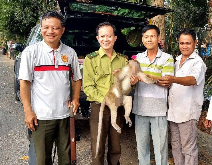 Lực lượng kiểm lâm đã bắn thuốc gây mê và bắt giữ được con khỉ. Lực lượng kiểm lâm đã bắn thuốc gây mê và bắt giữ được con khỉ.