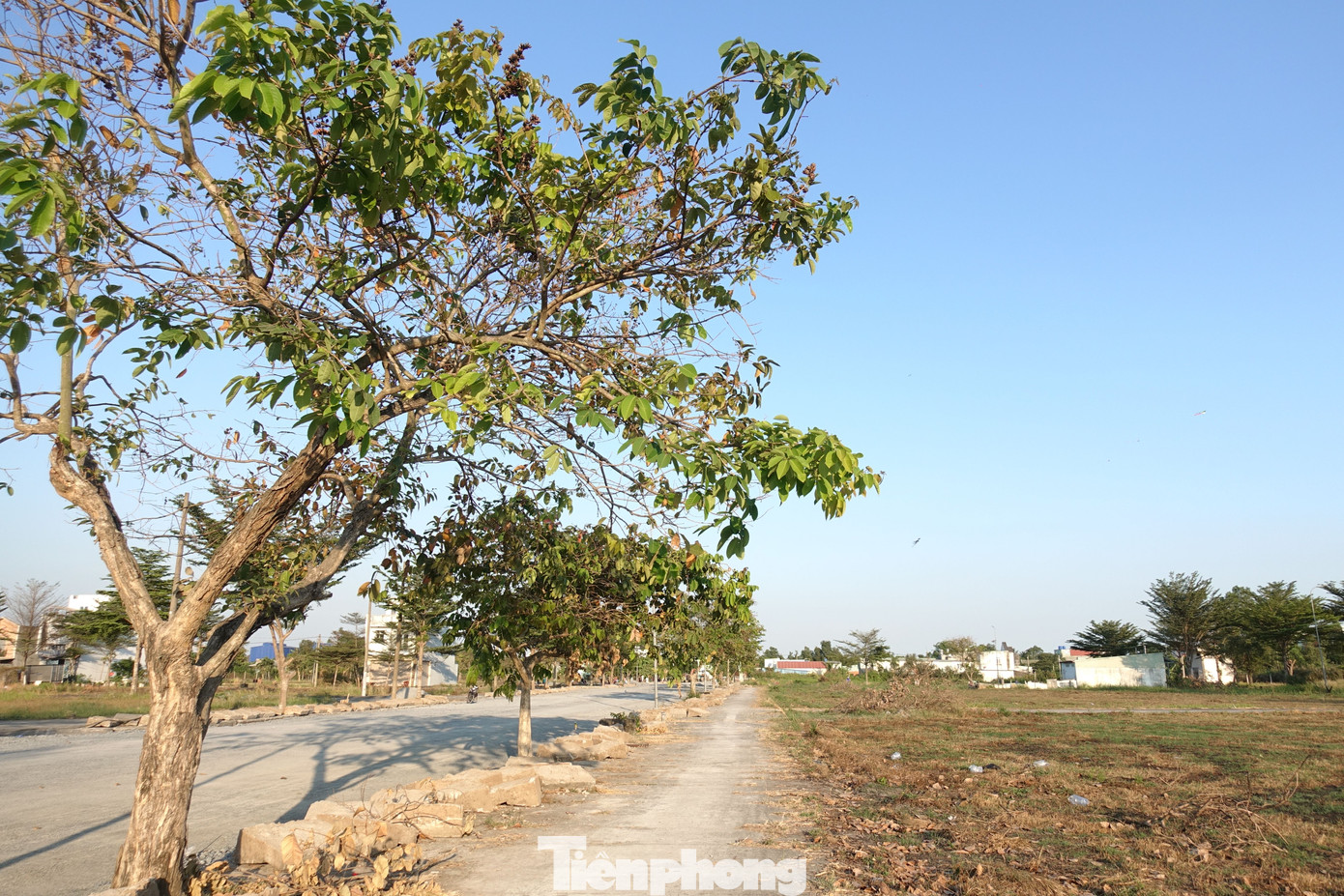 Theo dự kiến, dự án khu dân cư An Hạ sẽ bố trí 233 nền đất cho người dân thuộc diện di dời, giải tỏa bởi dự án đường Vành đai 3 TPHCM.