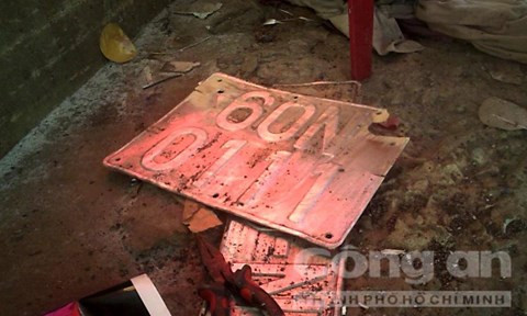 'Mê hồn trận' cà-vẹt, biển số giả ảnh 2