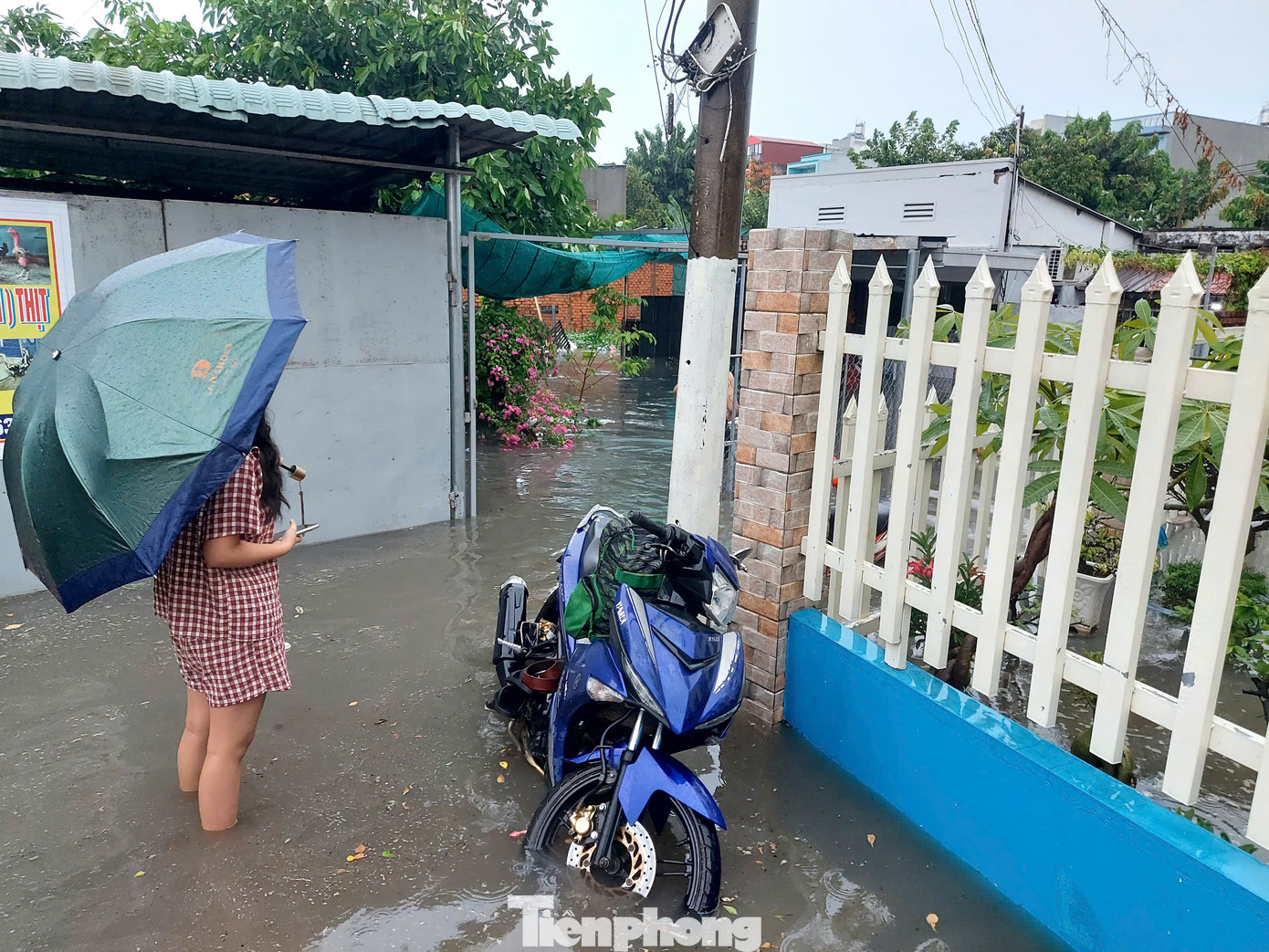 Hệ thống cống thoát nước ở hẻm 789 đã xuống cấp, lại bị rác thải và bùn đất bít kín. Cùng với đó, địa hình trũng thấp như "lòng chảo" của khu vực đã biến đây trở thành "rốn ngập" khi xảy ra mưa lớn.