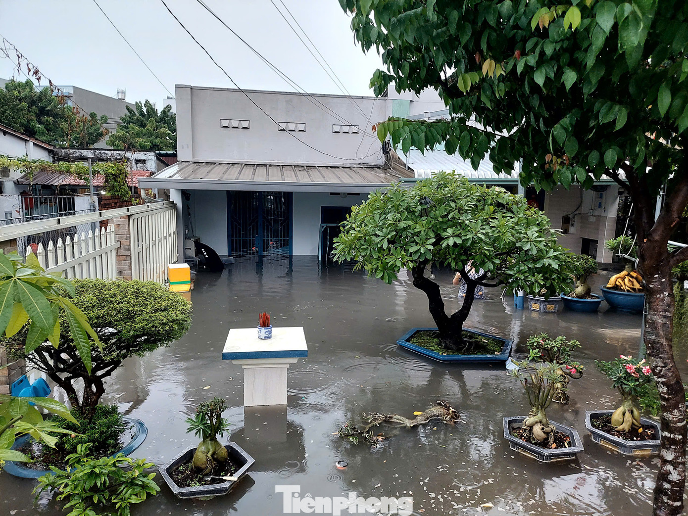 Nước tràn vào nhiều nhà dân trong hẻm 789.