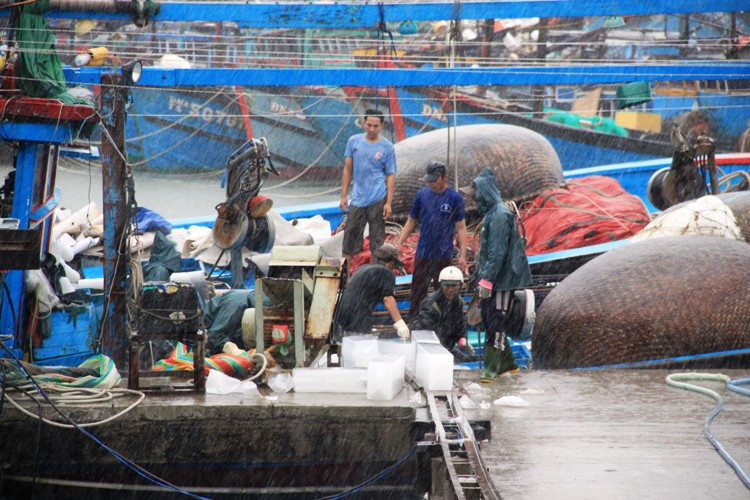 Tại âu thuyền Thọ Quang, những con tàu lớn tranh thủ bỏ đá, chuẩn bị sẵn đồ đạc trước chuyến biển