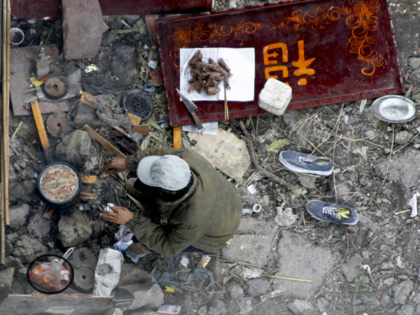 Cá ông Táo vào nồi