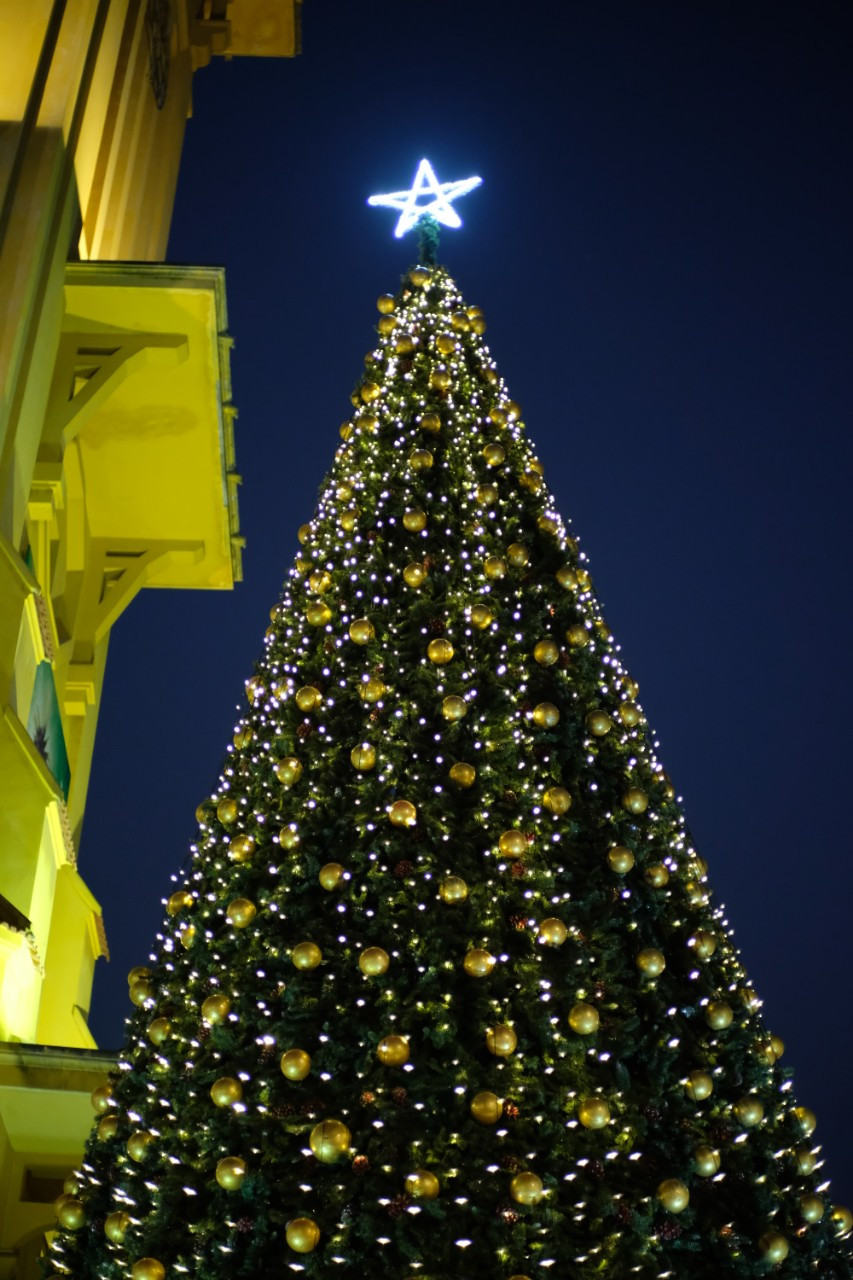 Không khí giáng sinh 2022 rộn ràng khắp nơi ảnh 13 Không khí giáng sinh 2022 rộn ràng khắp nơi ảnh 13