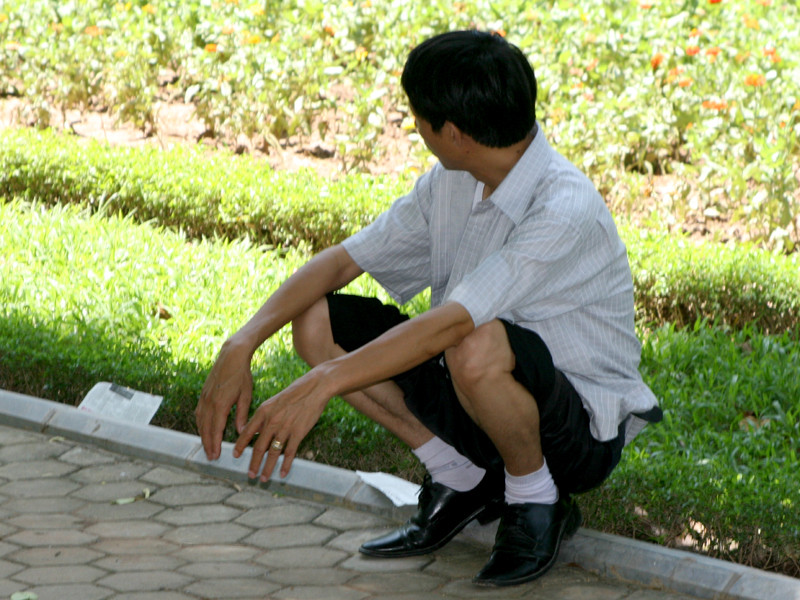 Mệt mỏi vì nắng nóng ảnh 11