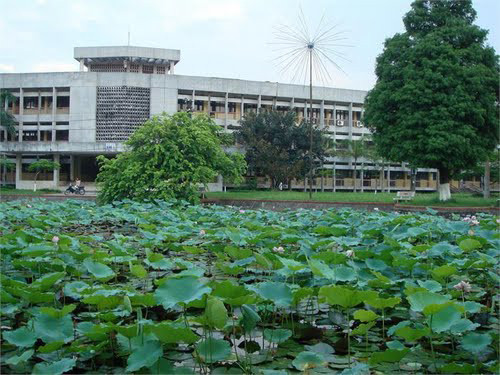 Trường ĐH Nông nghiệp Hà Nội cũng bị xử phạt hành chính Trường ĐH Nông nghiệp Hà Nội