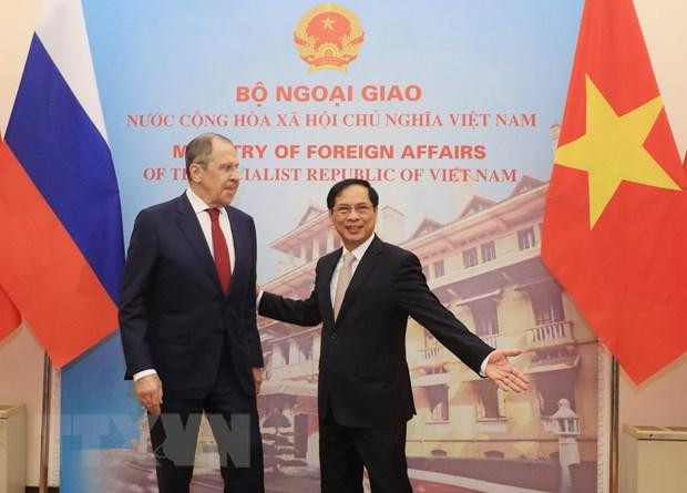 Bộ trưởng Ngoại giao Bùi Thanh Sơn và Bộ trưởng Ngoại giao Nga Sergey Lavrov. (Ảnh: Lâm Khánh/TTXVN)