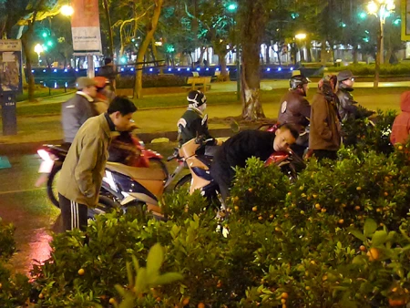 Trước đêm giao thừa vẫn còn vài người hỏi mua quất