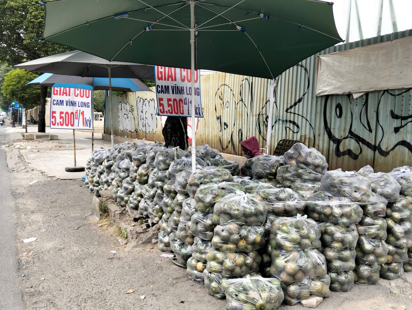 Nhiều sạp giải cứu cam được bày bán ở các trục đường lớn ở TP HCM Nhiều sạp giải cứu cam được bày bán ở các trục đường lớn ở TP HCM