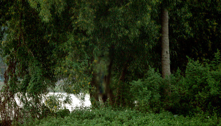 Thi thể cô gái treo lơ lửng trên cây