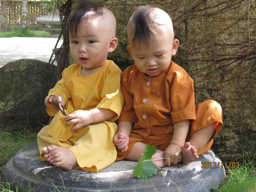 Bin, Bo giờ đã gần 1 tuổi, thân thiết nhau như anh em sinh đôi