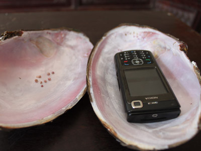 Những viên ngọc trong con trai anh Đỗ Hoàng Tuấn bắt được. Ảnh: Hoàng Lam