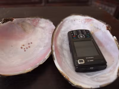 Những viên ngọc trong con trai anh Đỗ Hoàng Tuấn bắt được. Ảnh: Hoàng Lam