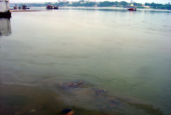 Ngư dân lo ngại ảnh hưởng đến sức khỏe