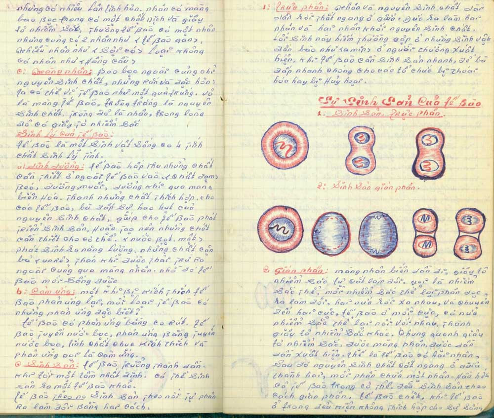 Bên trong nhật ký được ghi bằng nét chữ nắn nót kèm hình vẽ bằng bút màu