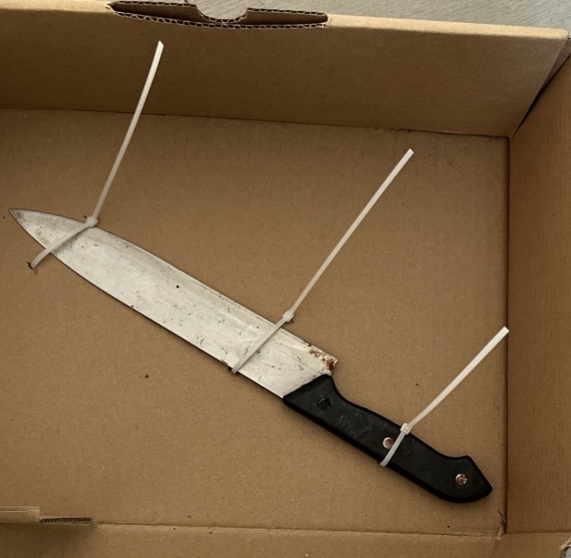 Con dao mà Nguyễn Phi Sơn dùng đâm thương vong mẹ vợ và chị vợ.