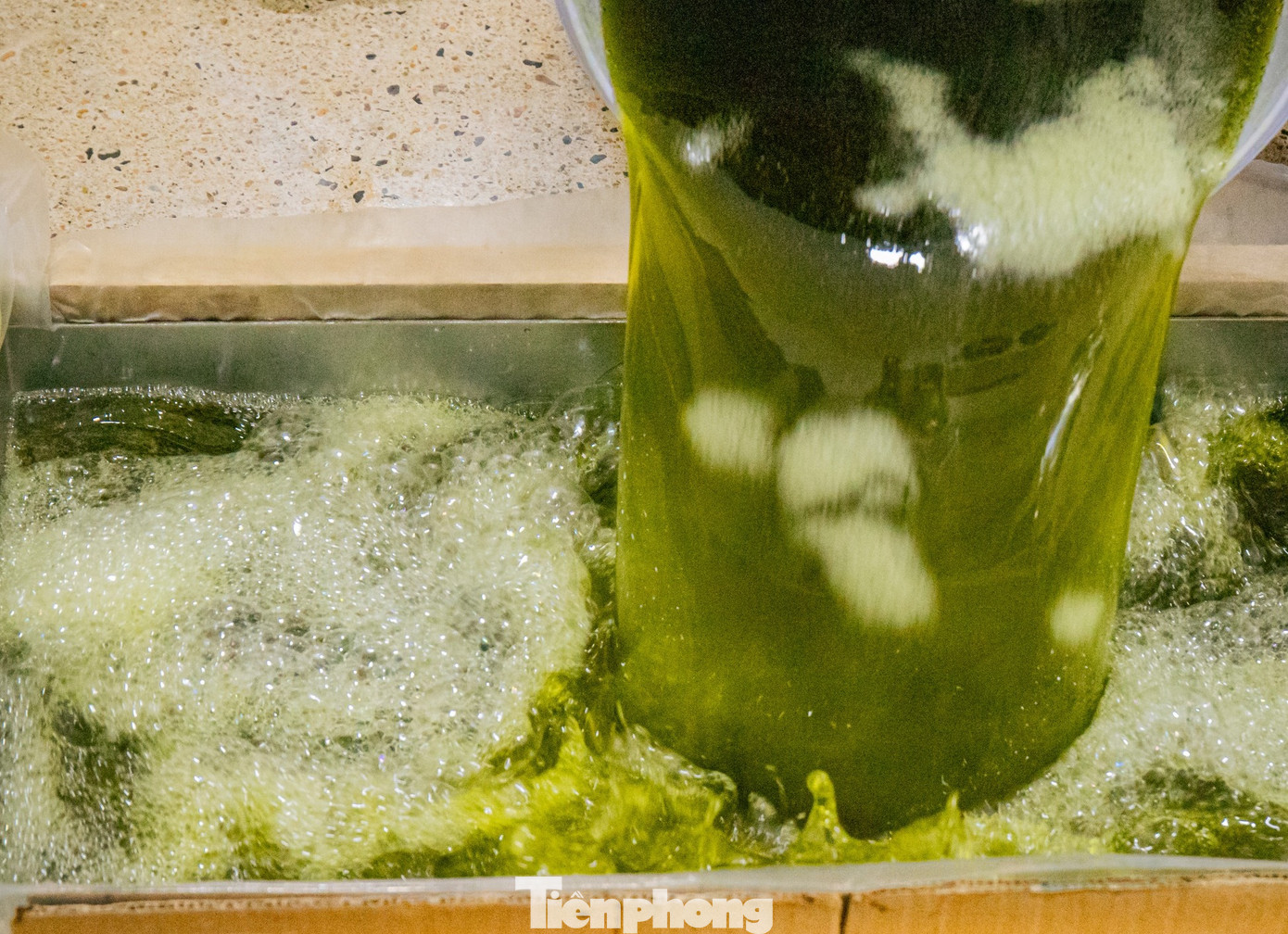 Thảo dược khi chiết xuất xong được cho vào khuôn đóng bánh.